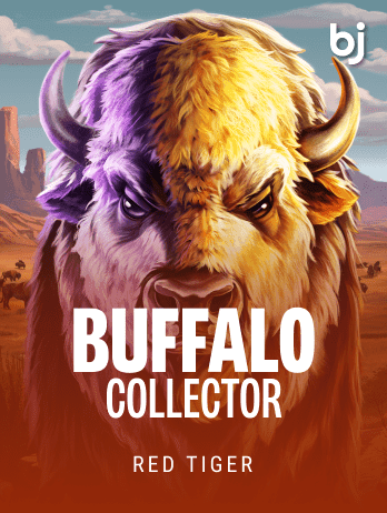 Buffalo Collector game thumbnail